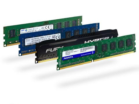 ram